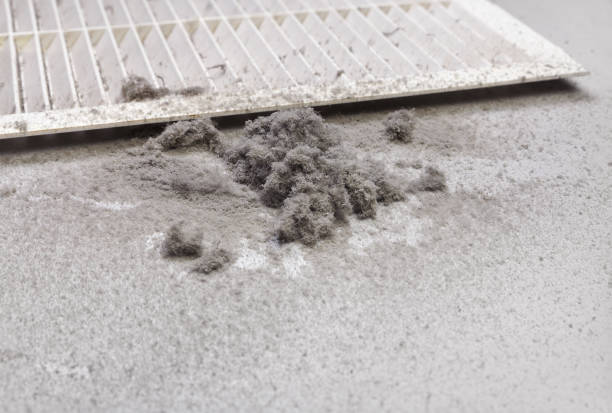 Best Air Duct Cleaning Near Me  in Independence, MO